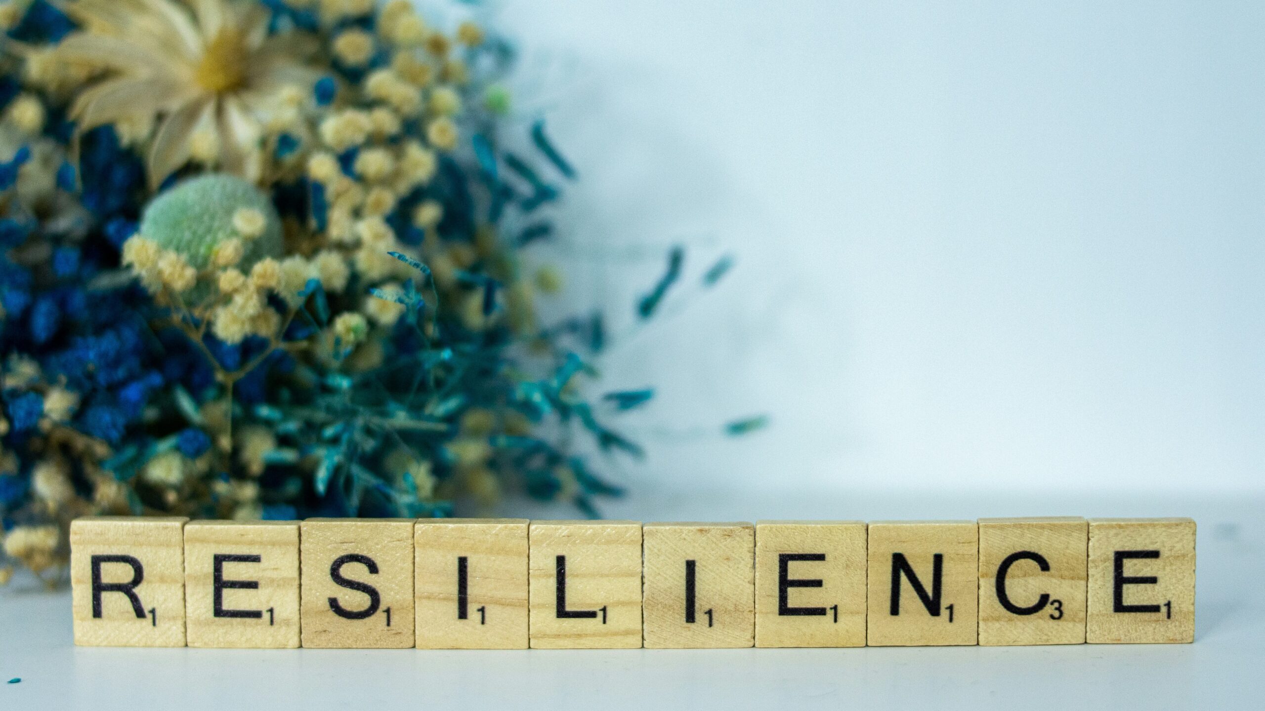 Benefits of Youth Sports Resilience photo